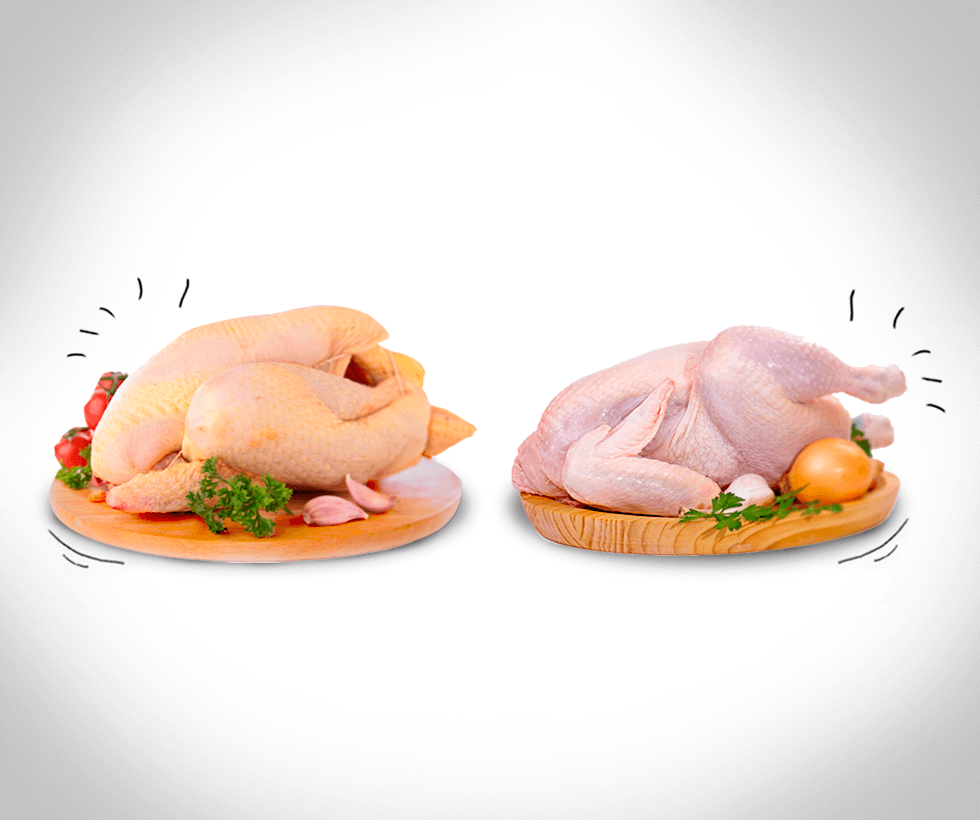 El pollo a debate, ¿cuál es más saludable? - EAT & FIT